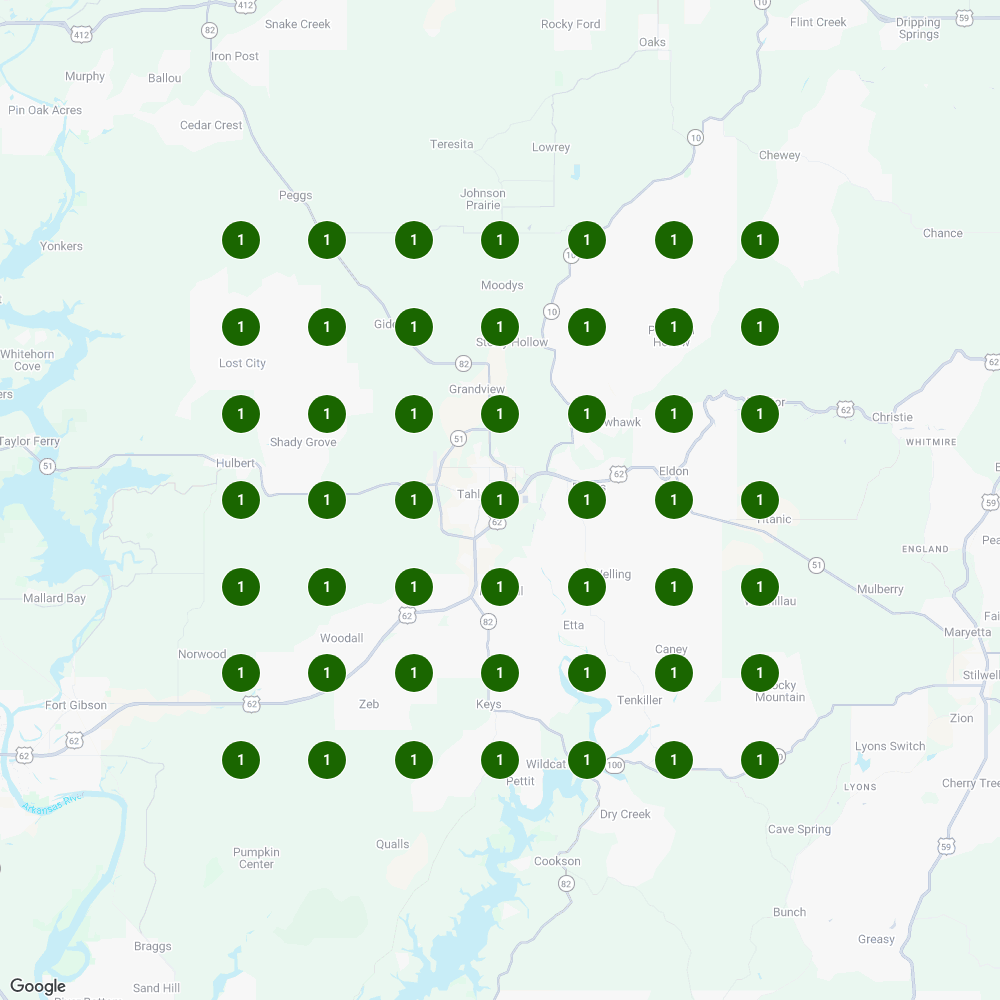 Clog Hunter Local Falcon ranking grid after optimization — dominant green number one map visibility across the Tahlequah plumber 7 by 7 grid.